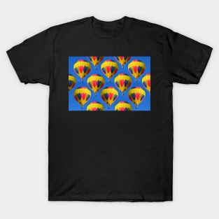 Love is in the air T-Shirt